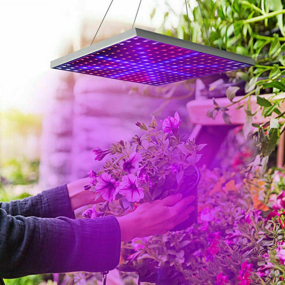 2000W 225 LED Grow Light Hydroponic Kits Growing Lamp Plant Flower