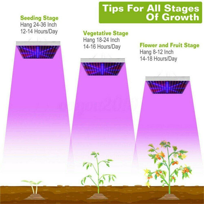 2000W 225 LED Grow Light Hydroponic Kits Growing Lamp Plant Flower Veg Indoor - Battery Mate