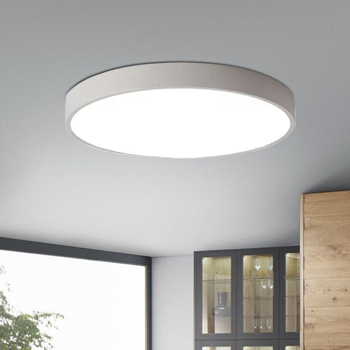 Ceiling Light LED Dimmable/Cool White 24W Shell Round Indoor Light | White - Battery Mate